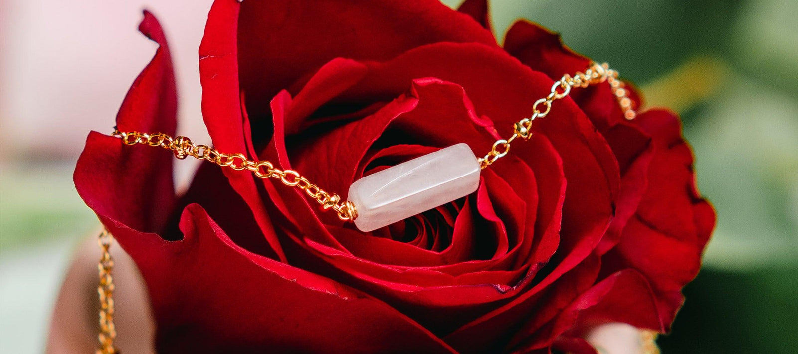 Valentine's Day - LotusAndLuna