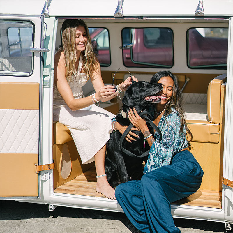 Deep Teal Harem Pants