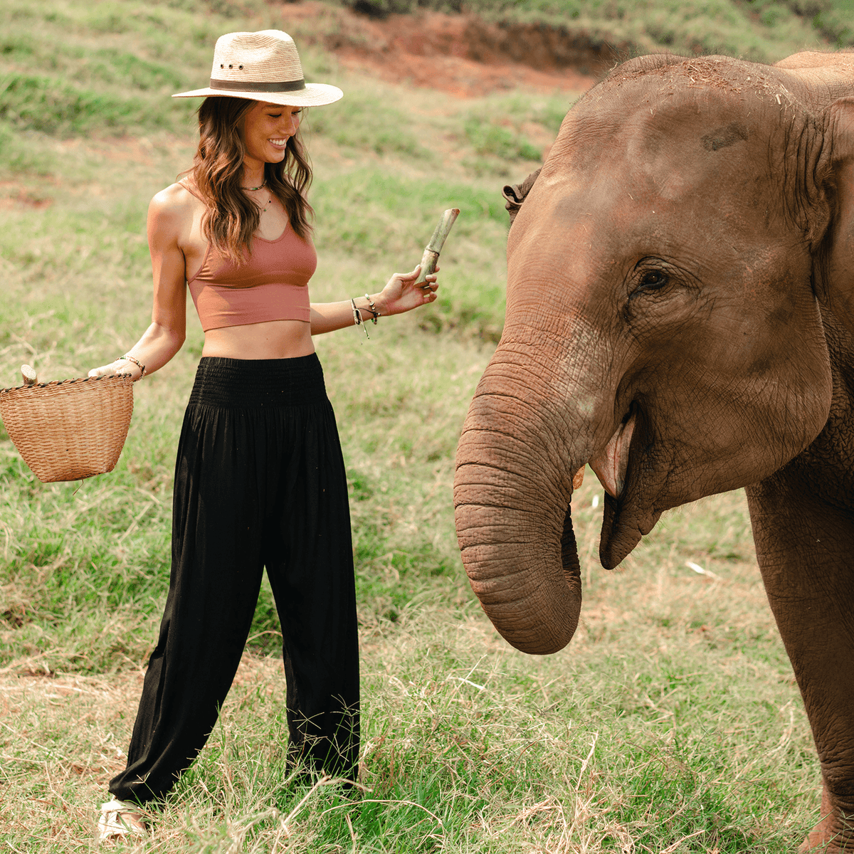 Woman wearing black harem pants while feeding elephant in Thailand.