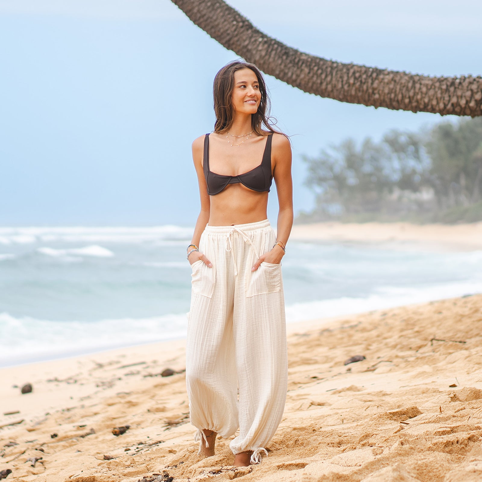 Lotus & Luna Galapagos Shorts